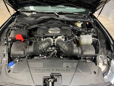 2025 Ford Mustang Dark Horse