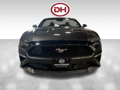 2019 Ford Mustang EcoBoost Premium