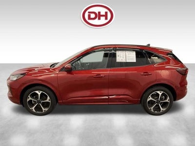 2024 Ford Escape ST-Line Select